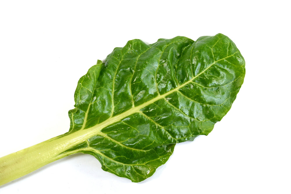 Silverbeet Chard
